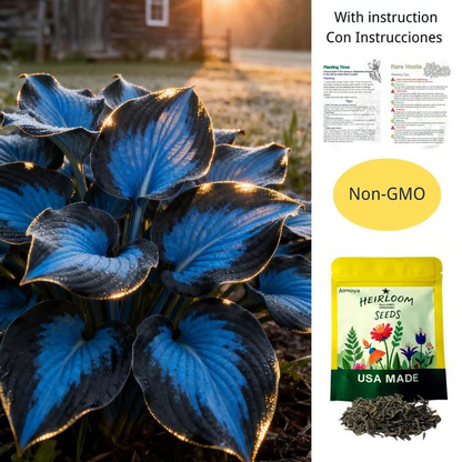 🔥LAST DAY 70% OFF🔥Premium Rare Hosta Seeds🌿Shade-Tolerant Plant